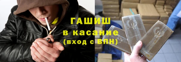 стаф Алзамай