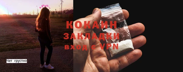 сатива Арсеньев
