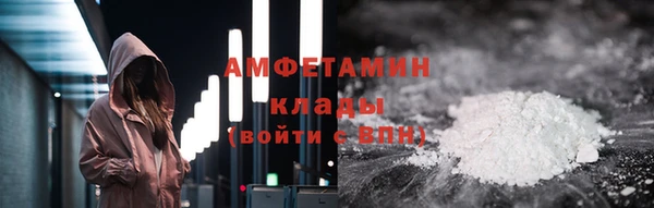 стаф Алзамай