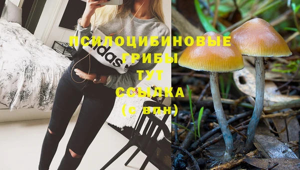 mix Алексин