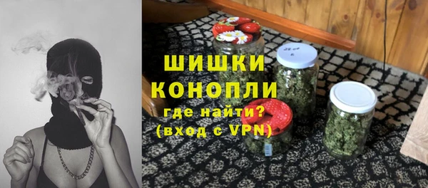 сатива Арсеньев