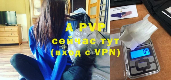 сатива Арсеньев