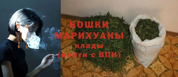 сатива Арсеньев