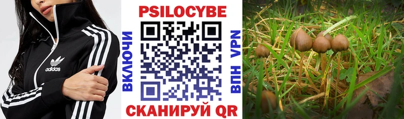 Галлюциногенные грибы прущие грибы  Волгоград 